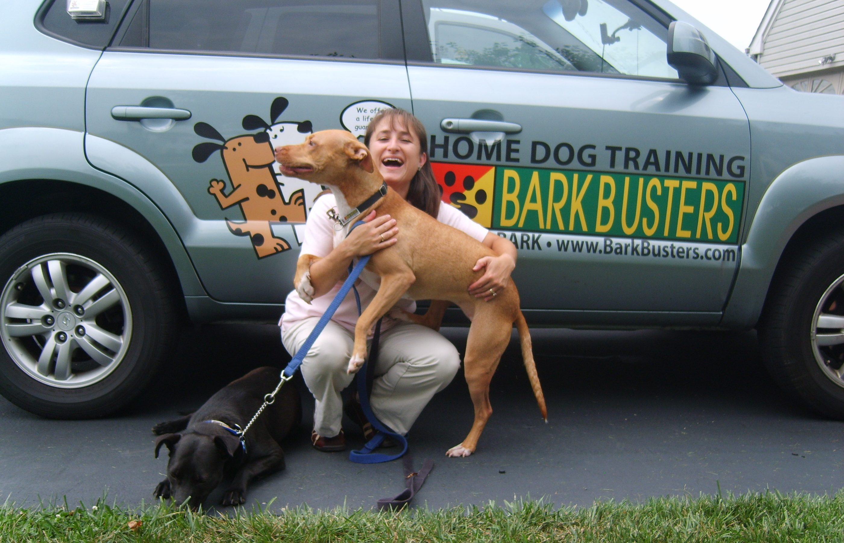 bark busters